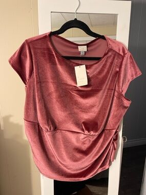 a new day Rose Pink Velvet Short-Sleeve Blouse